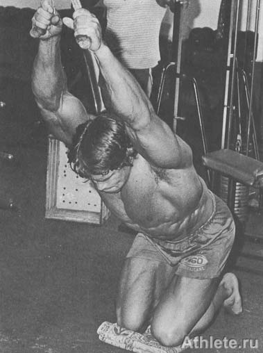 ������������ - ����� ������������ ������������ - ��.3