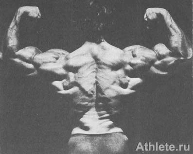 ������������ - ����� ������������ ������������ - ��.3