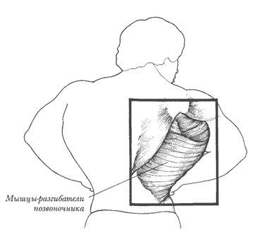 ����� �����