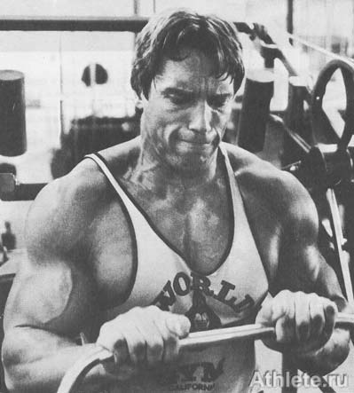 ������������ - ����� ������������ ������������ - ��.3