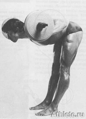 ������������ - ����� ������������ ������������ - ��.3