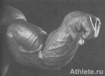 ������������ - ����� ������������ ������������ - ��.3