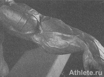 ������������ - ����� ������������ ������������ - ��.3