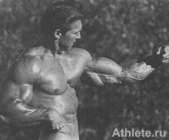 ������������ - ����� ������������ ������������ - ��.3