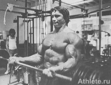 ������������ - ����� ������������ ������������ - ��.3