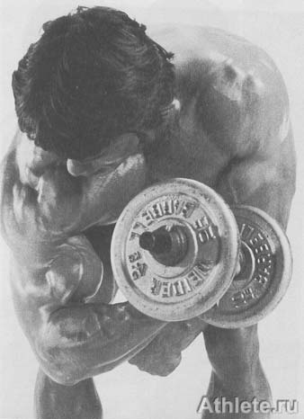 ������������ - ����� ������������ ������������ - ��.3