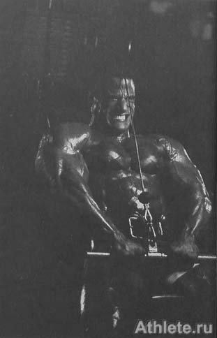 ������������ - ����� ������������ ������������ - ��.3