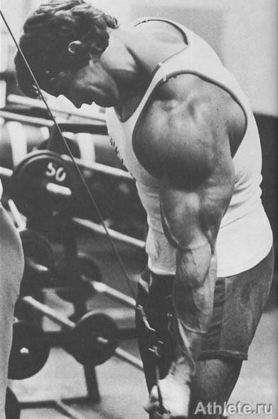 ������������ - ����� ������������ ������������ - ��.3