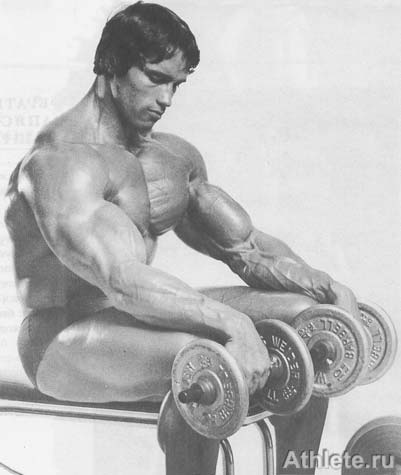 ������������ - ����� ������������ ������������ - ��.3