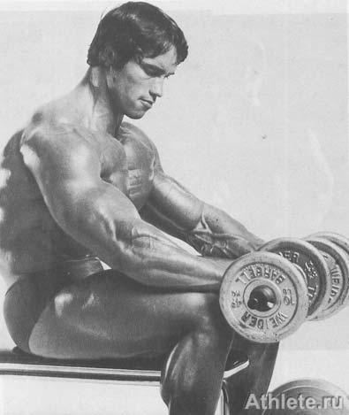 ������������ - ����� ������������ ������������ - ��.3