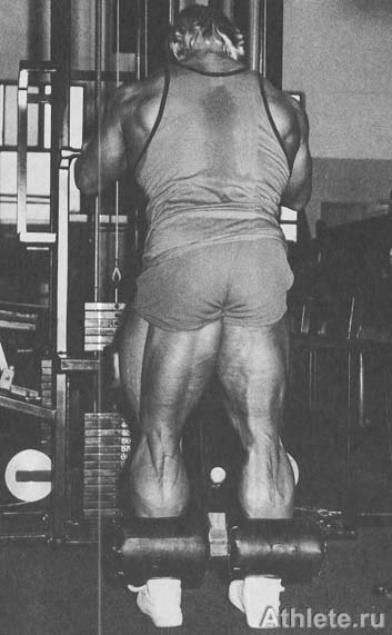 ������������ - ����� ������������ ������������ - ��.3