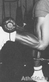 ������������ - ����� ������������ ������������ - ��.3