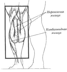 ����� ������: ���������� �����, ������������� �����