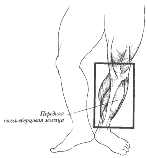 ����� ������: �������� �������������� �����