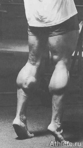 ������������ - ����� ������������ ������������ - ��.3