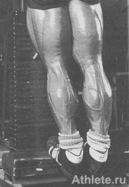 ������������ - ����� ������������ ������������ - ��.3