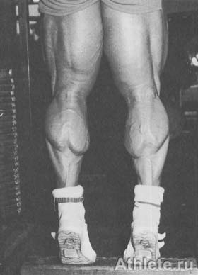 ������������ - ����� ������������ ������������ - ��.3