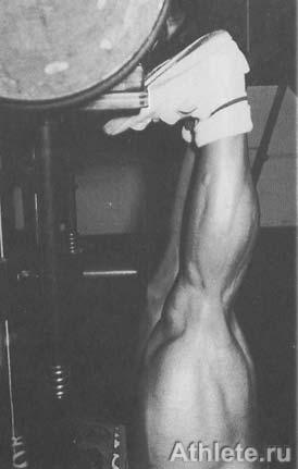 ������������ - ����� ������������ ������������ - ��.3