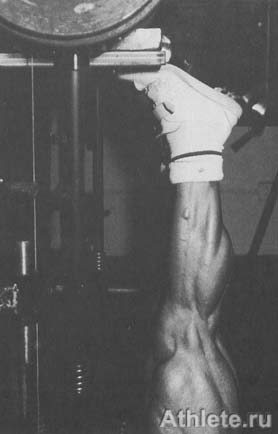 ������������ - ����� ������������ ������������ - ��.3