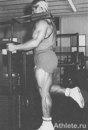 ������������ - ����� ������������ ������������ - ��.3