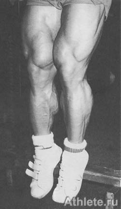 ������������ - ����� ������������ ������������ - ��.3