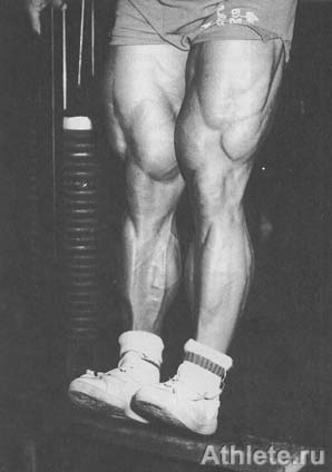 ������������ - ����� ������������ ������������ - ��.3