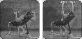 Брунгардт - Идеальные Мышцы Груди И Плечевого Пояса