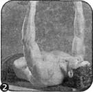 Брунгардт - Идеальные Мышцы Груди И Плечевого Пояса