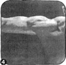 Брунгардт - Идеальные Мышцы Груди И Плечевого Пояса