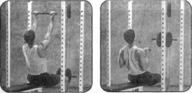 Брунгардт - Идеальные Мышцы Груди И Плечевого Пояса