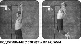 Брунгардт - Идеальные Мышцы Груди И Плечевого Пояса