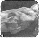 Брунгардт - Идеальные Мышцы Груди И Плечевого Пояса