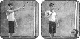 Брунгардт - Идеальные Мышцы Груди И Плечевого Пояса