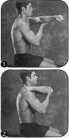 Брунгардт - Идеальные Мышцы Груди И Плечевого Пояса