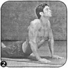 Брунгардт - Идеальные Мышцы Груди И Плечевого Пояса