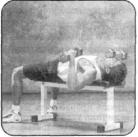 Брунгардт - Идеальные Мышцы Груди И Плечевого Пояса