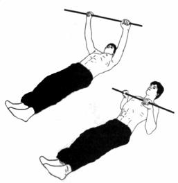 Дмитриев - Атлетизм Без Железа