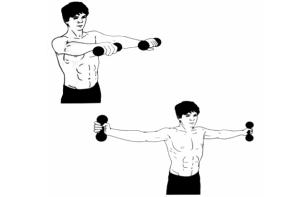 Дмитриев - Атлетизм Без Железа