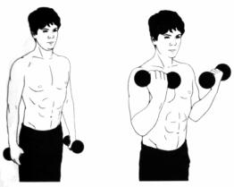 Дмитриев - Атлетизм Без Железа