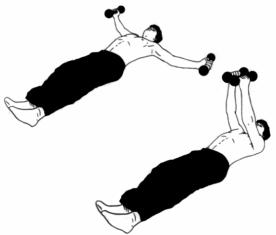 Дмитриев - Атлетизм Без Железа