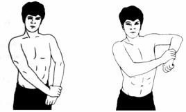 Дмитриев - Атлетизм Без Железа