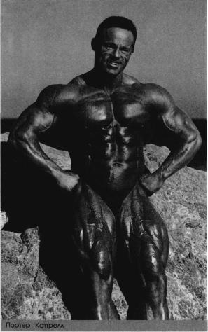 ������� - ����������� - ������ ������� � ��������