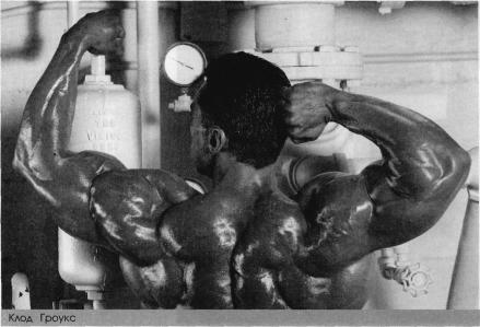 ������� - ����������� - ������ ������� � ��������