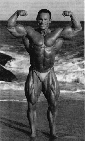 ������� - ����������� - ������ ������� � ��������