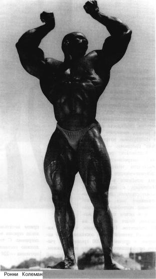 ������� - ����������� - ������ ������� � ��������