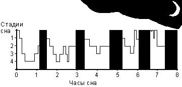 Фалеев - Анти-Макроберт. Думай! По-Русски. Как Тренироваться По Циклам