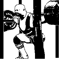 Фалеев - Анти-Макроберт. Думай! По-Русски. Как Тренироваться По Циклам