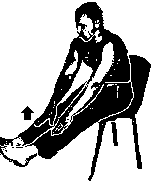 Фалеев - Анти-Макроберт. Думай! По-Русски. Как Тренироваться По Циклам