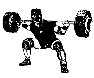 Фалеев - Анти-Макроберт. Думай! По-Русски. Как Тренироваться По Циклам