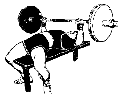 Фалеев - Анти-Макроберт. Думай! По-Русски. Как Тренироваться По Циклам